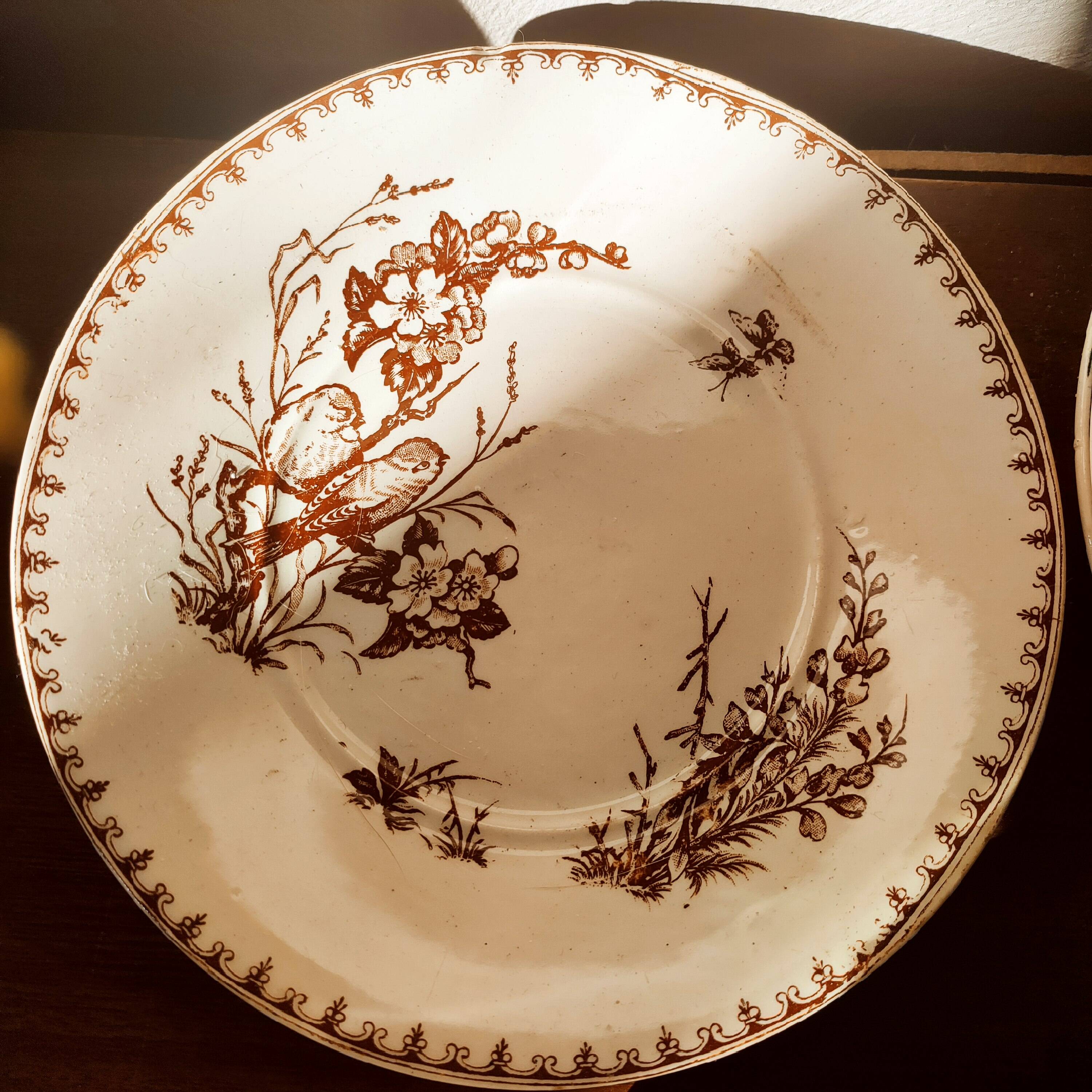 10 Lunéville earthenware plates, "Mésanges" pattern
