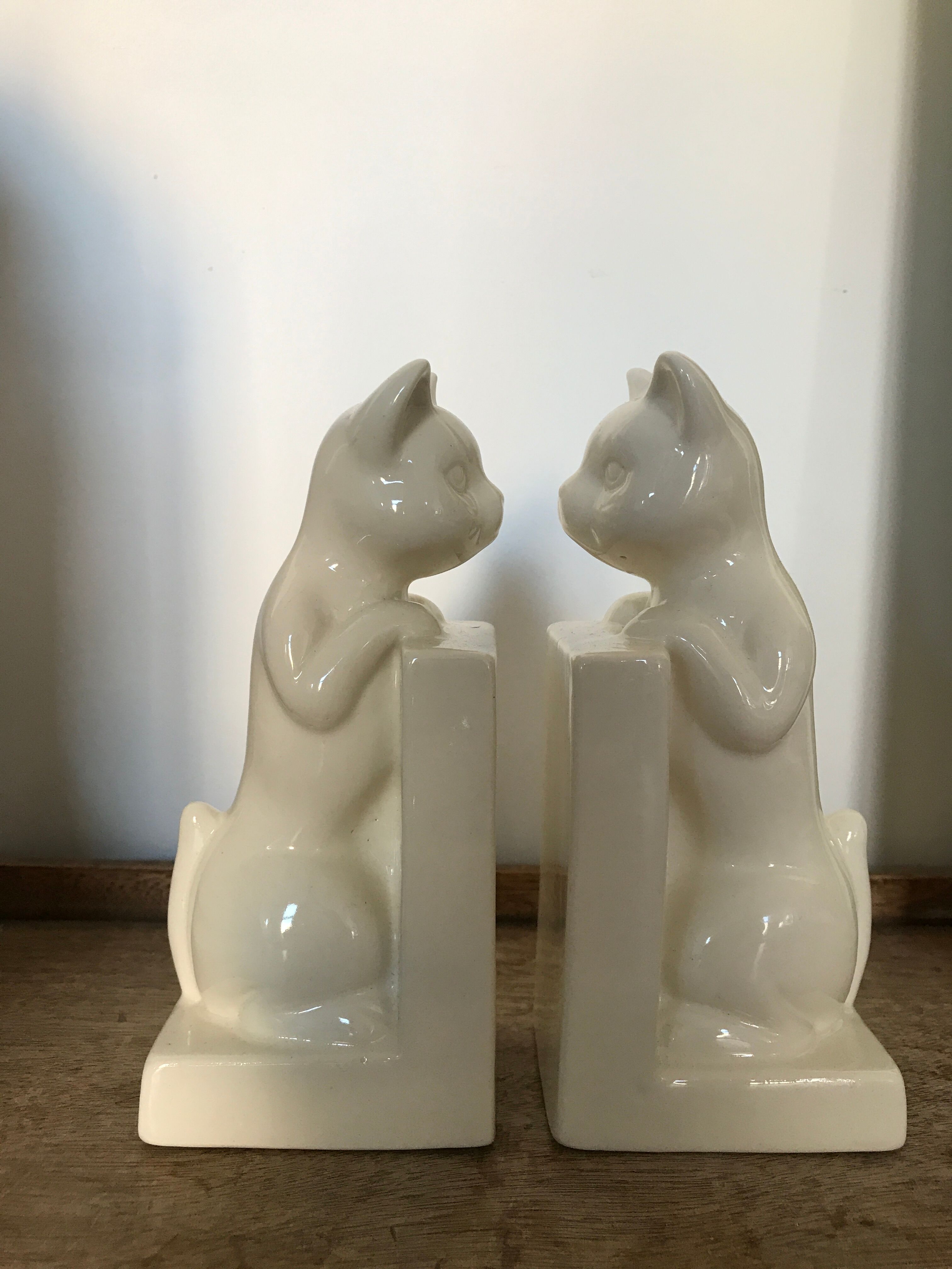 Pair of greenhouses book cat