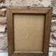 Framed ornithological engraving