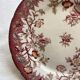 Plate Sarreguemines Minton