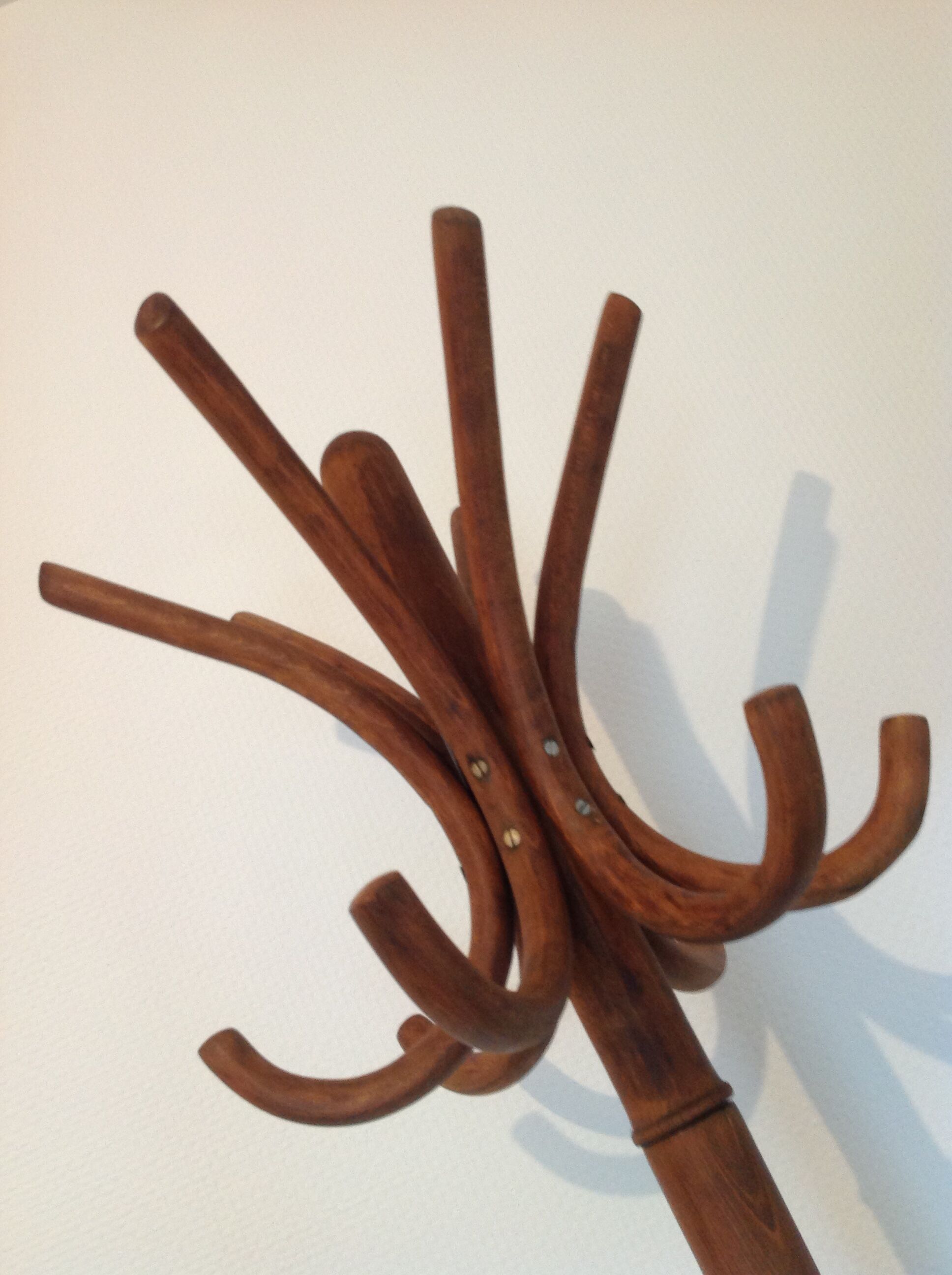 Six-headed coat holder in curved wood vintage 40s-50s