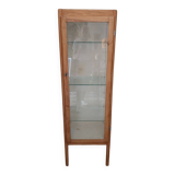 1950s medical display case