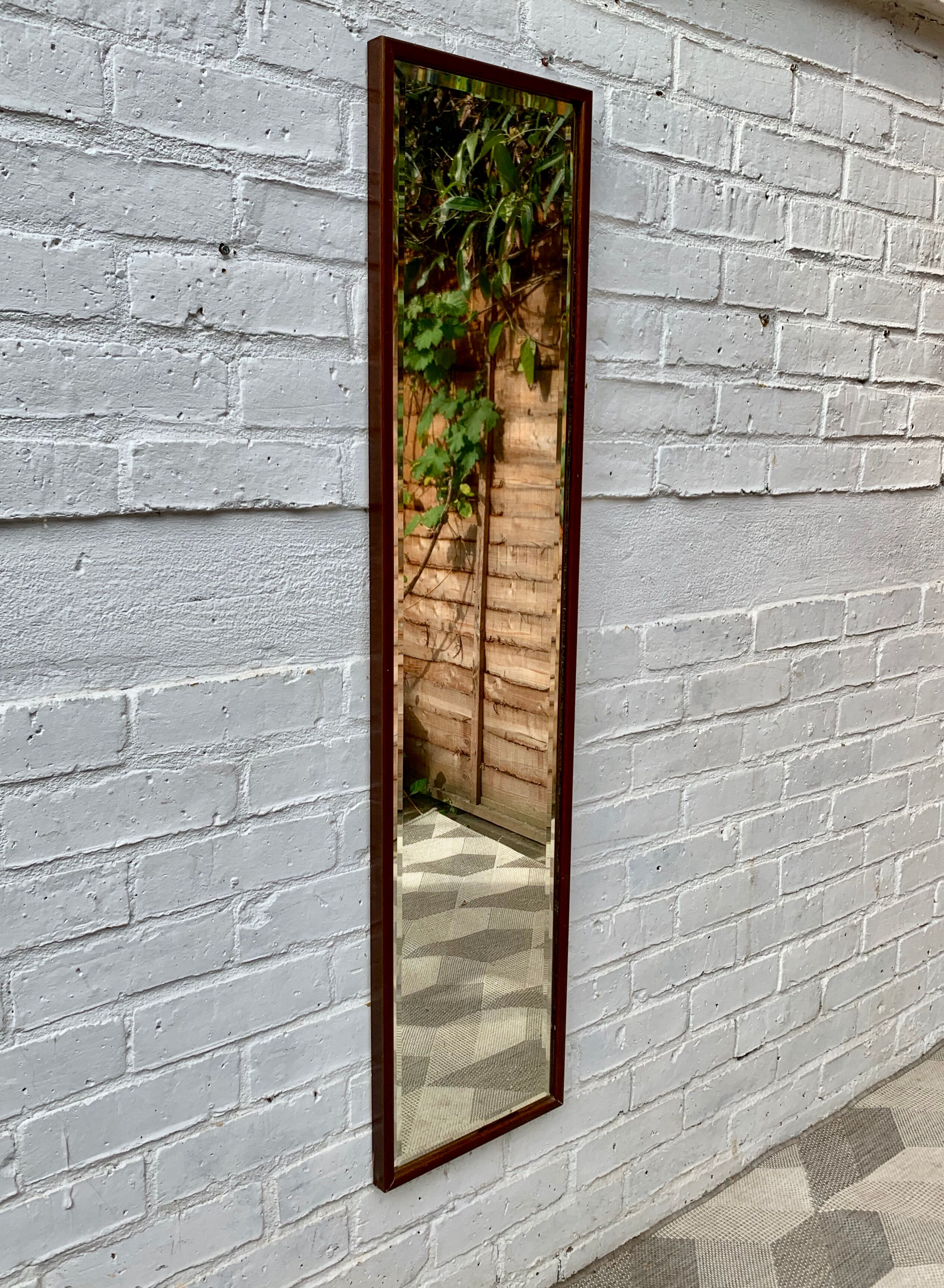 Wall mirror wood frame 119x28cm