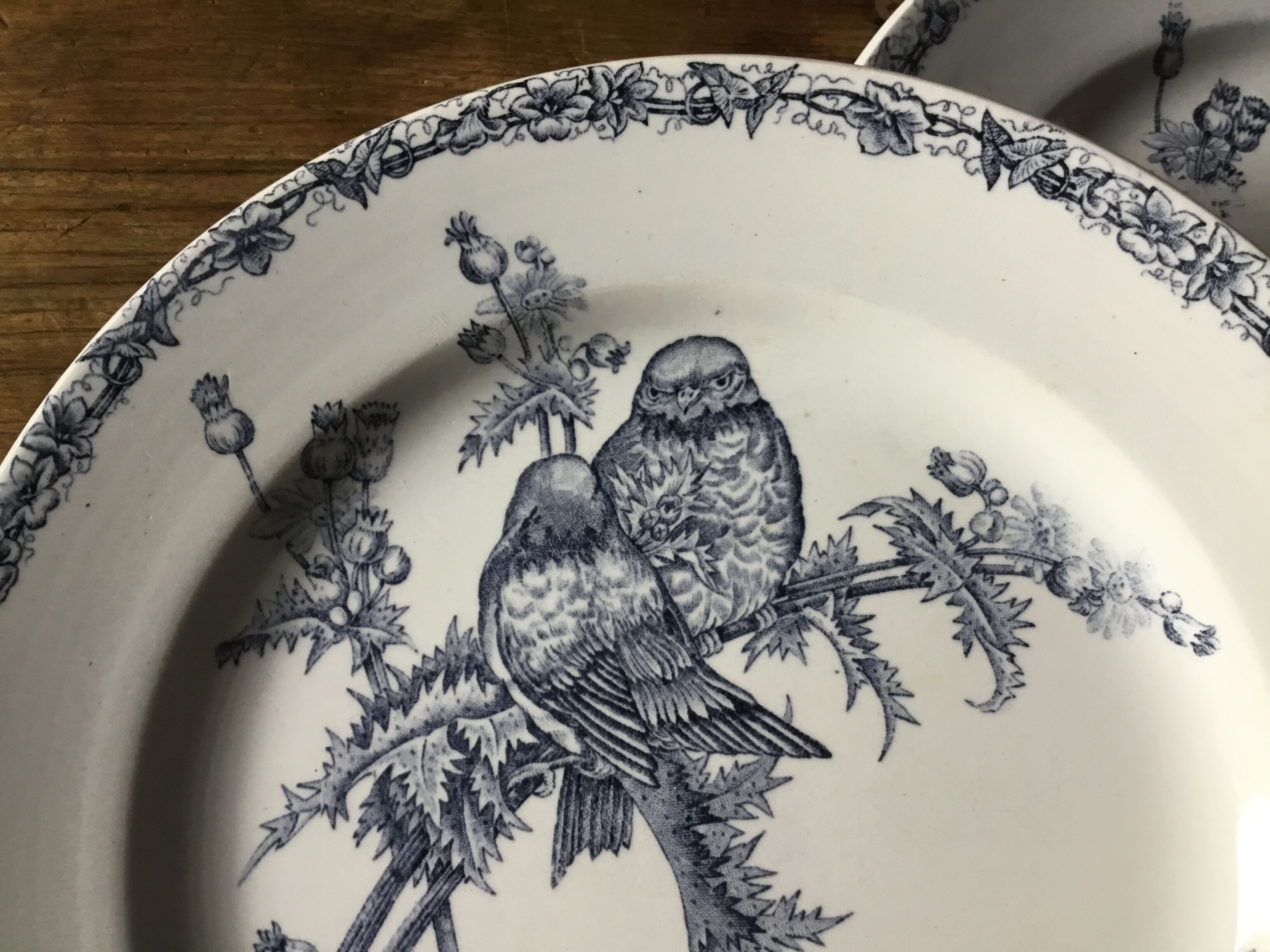 Plate Terre de fer Chardonnerets