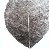 "Leave the automn" encre de chine