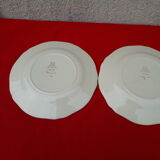 2 earthenware plates of gien model savoie diam 24.5 cm