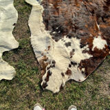Vintage cowhide carpet