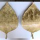 Paire d'appliques feuilles métal doré année 70/80