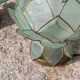 Pair of designer table lamps in turquoise blue green capiz mother-of-pearl from the 70s