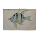 Lithography engraving vintage fish - 1850