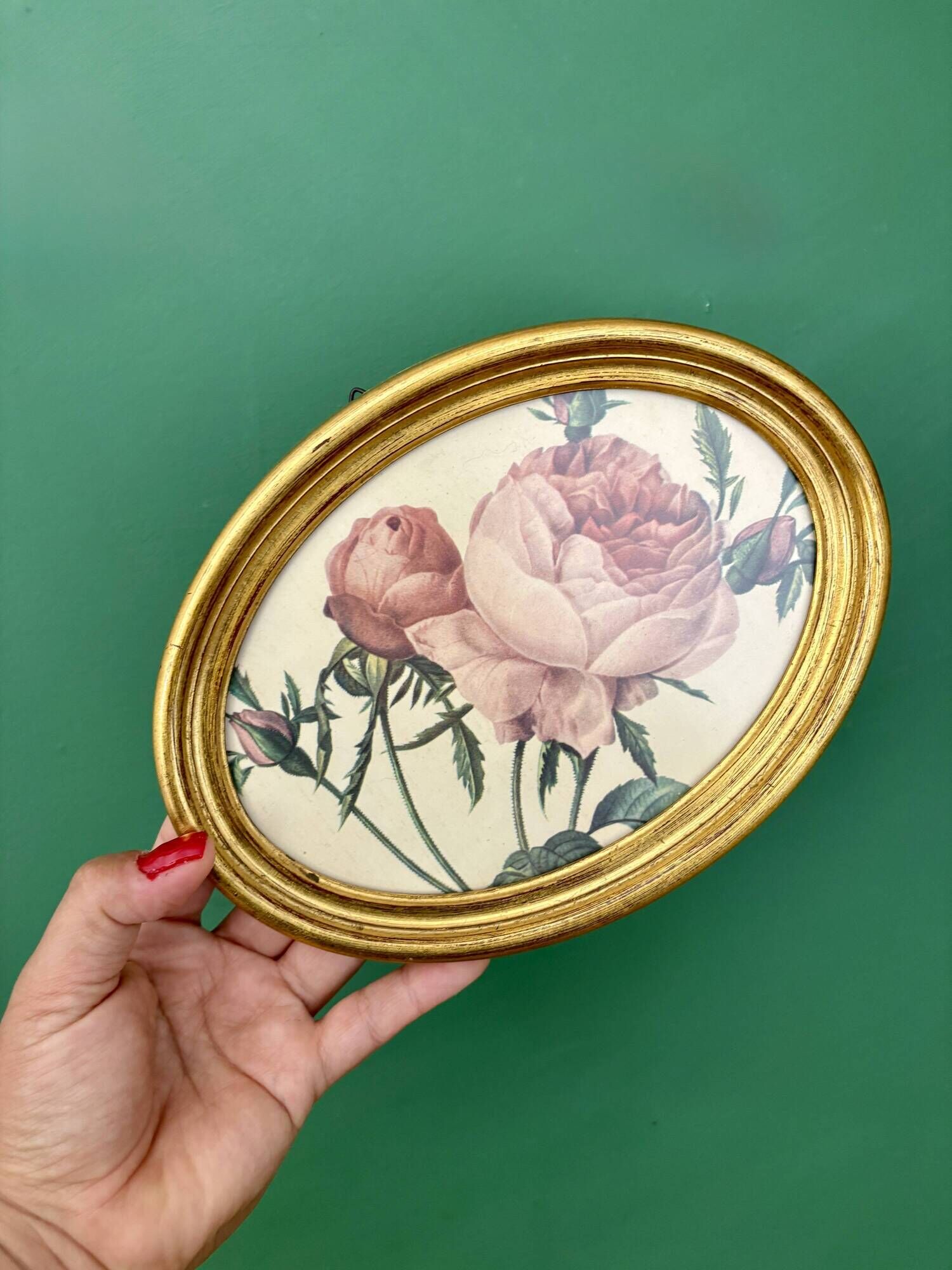 Vintage frame and rose by Redouté