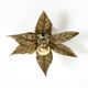 Beautiful brass ceiling or wall lamp from the 1970s by Willy Daro