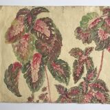 Solenostermon (Coleus Blumei), 1950s. Watercolor on paper