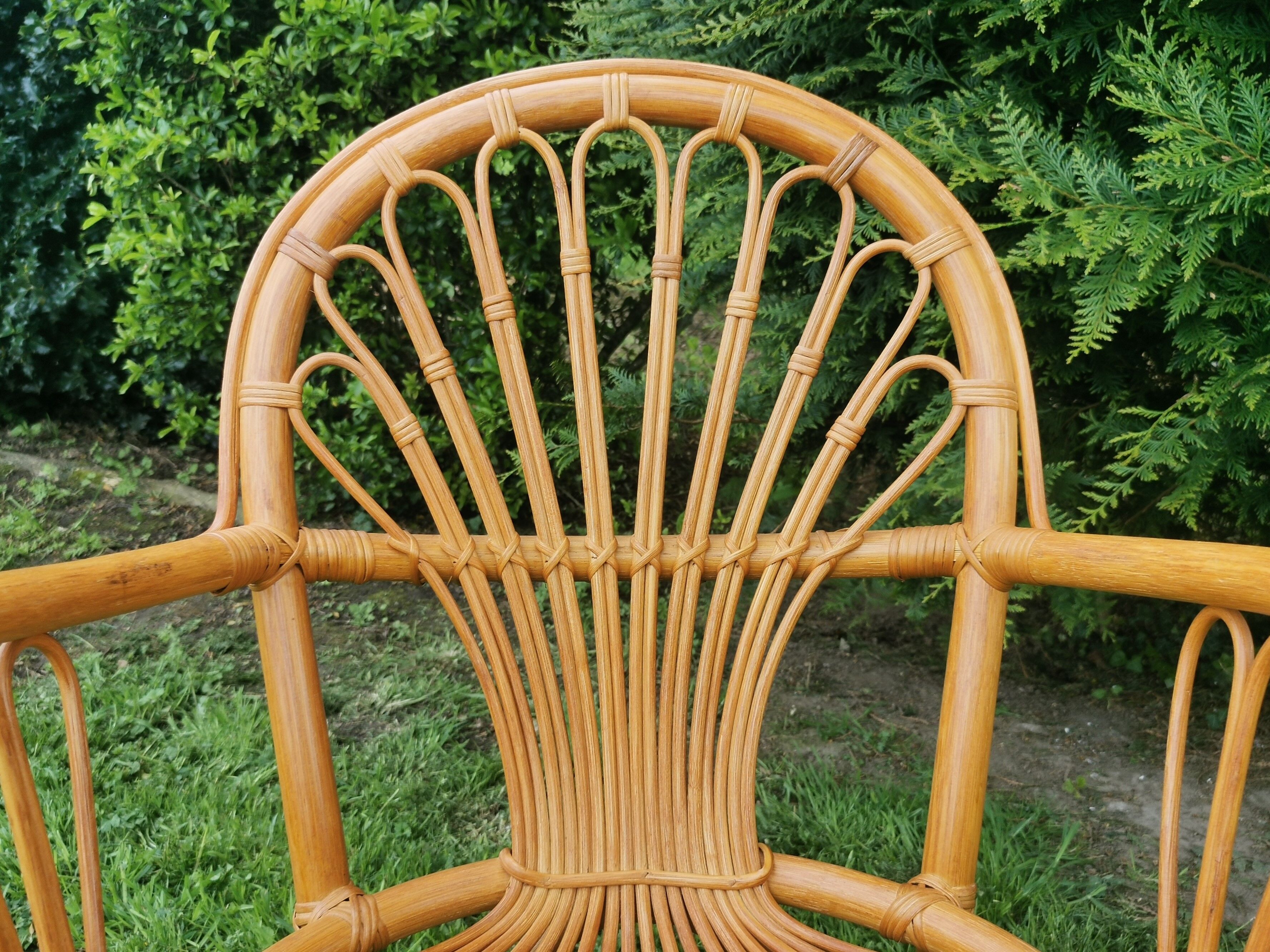 Rattan chairs