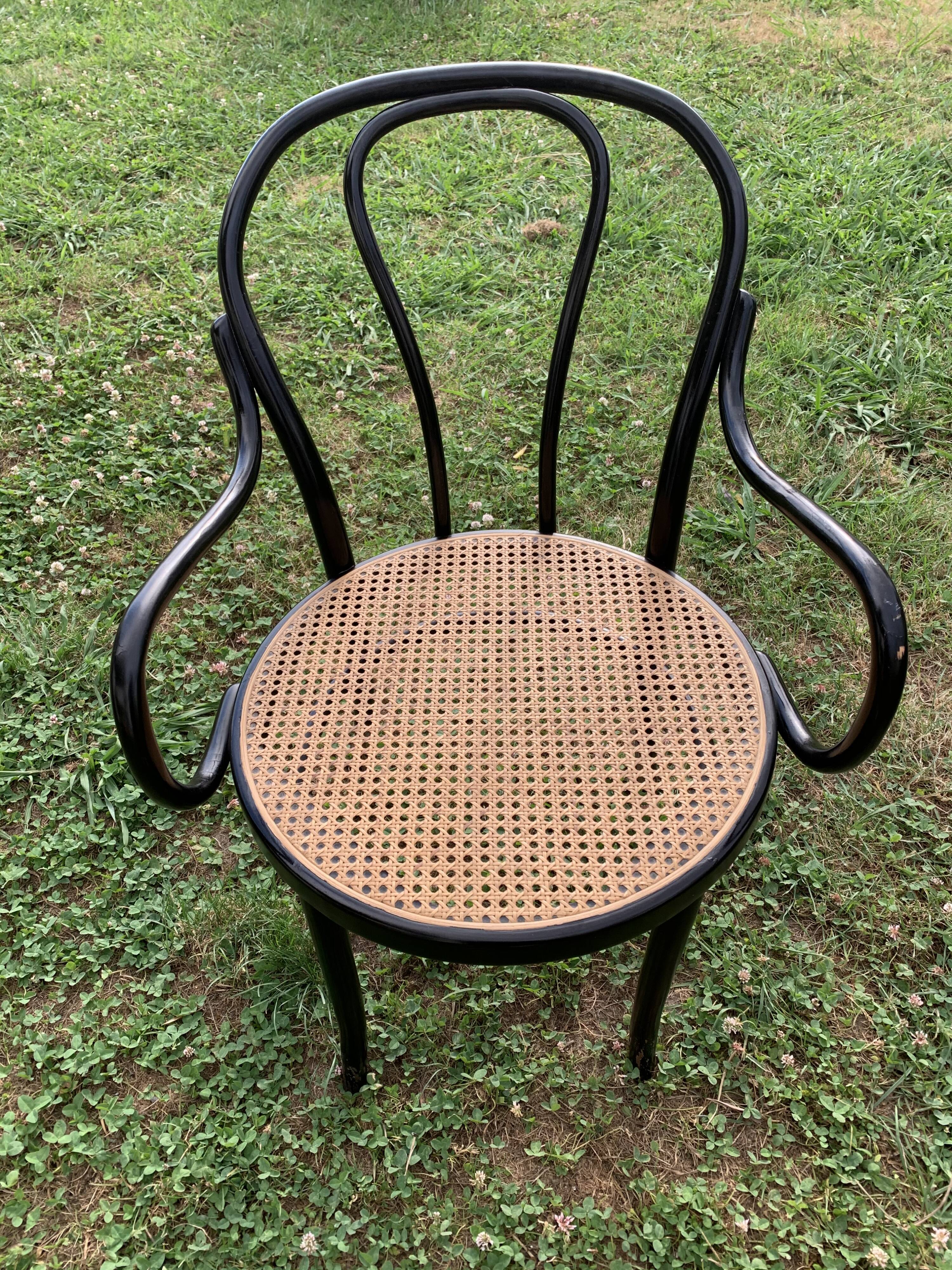 Tuna chair model 1018 in black curved wood and canning 1930