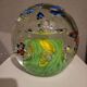 Sulfure aquarium xxl
