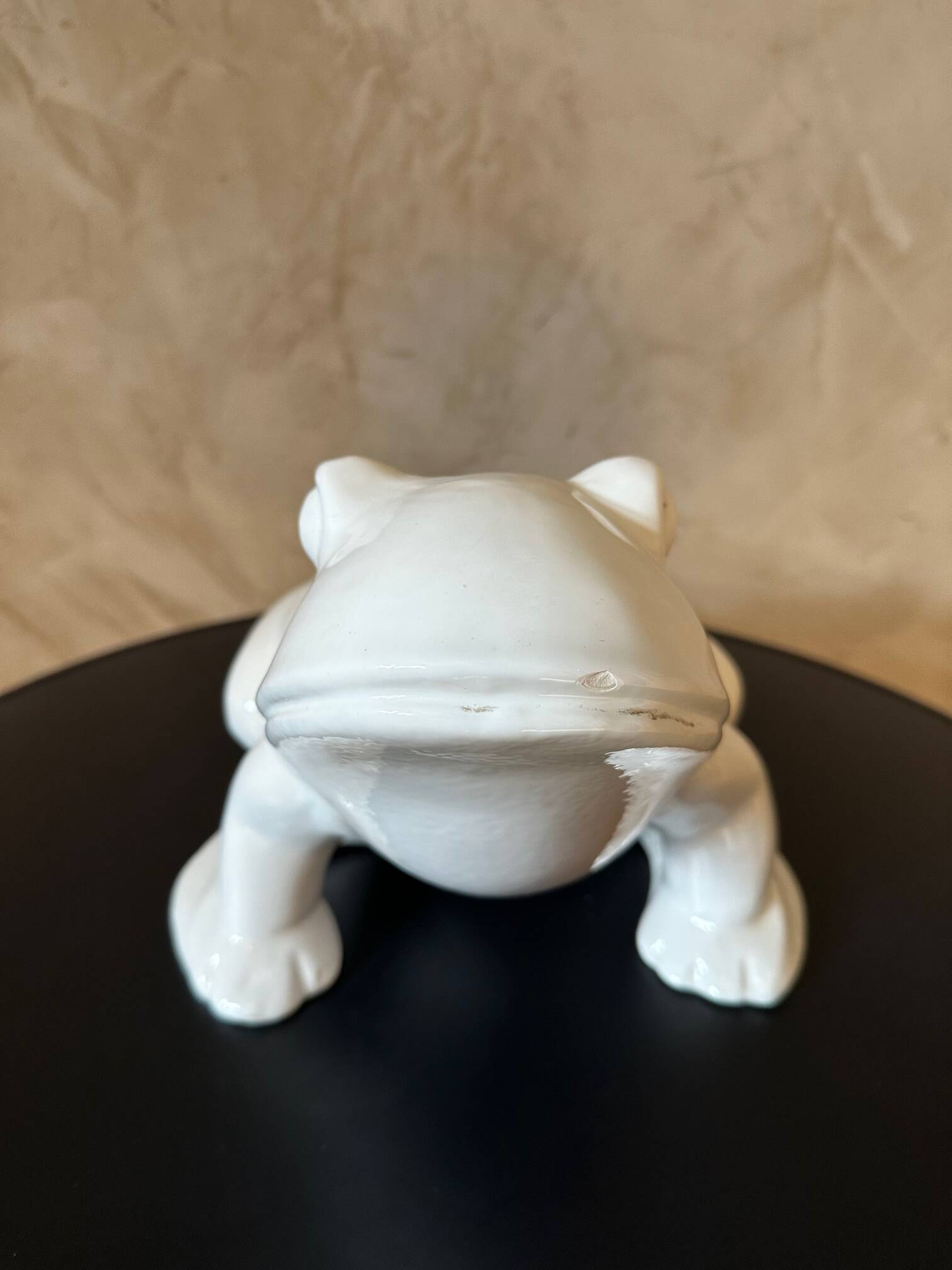 Frog plant pot
