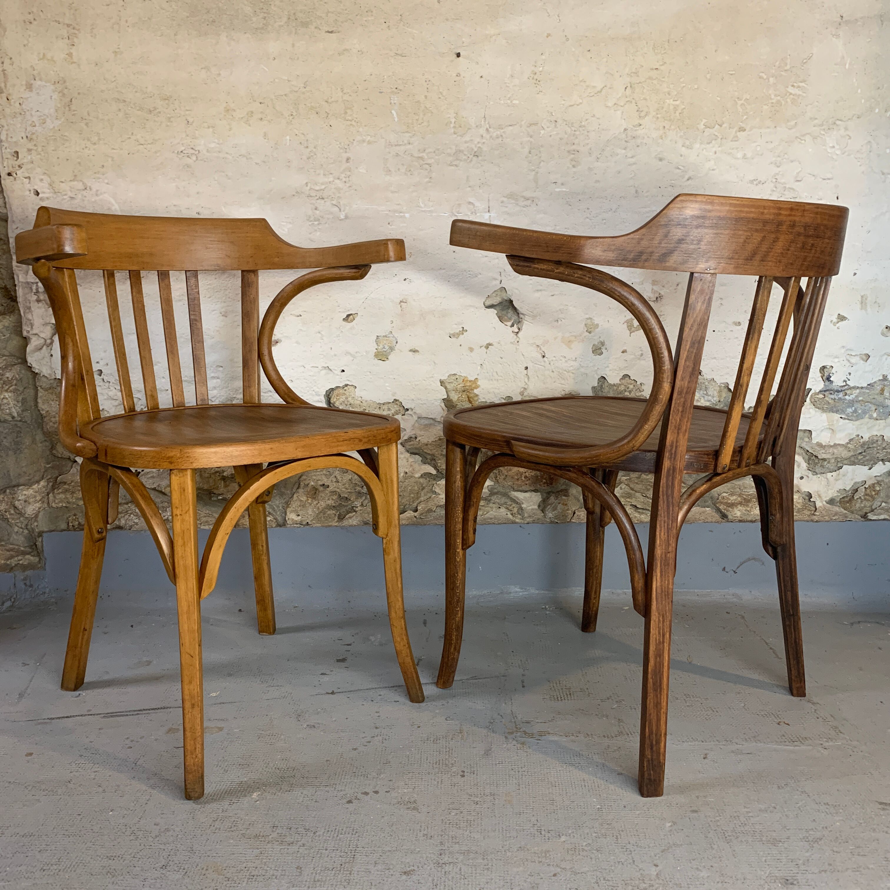 Pair armchair Derby Baumann