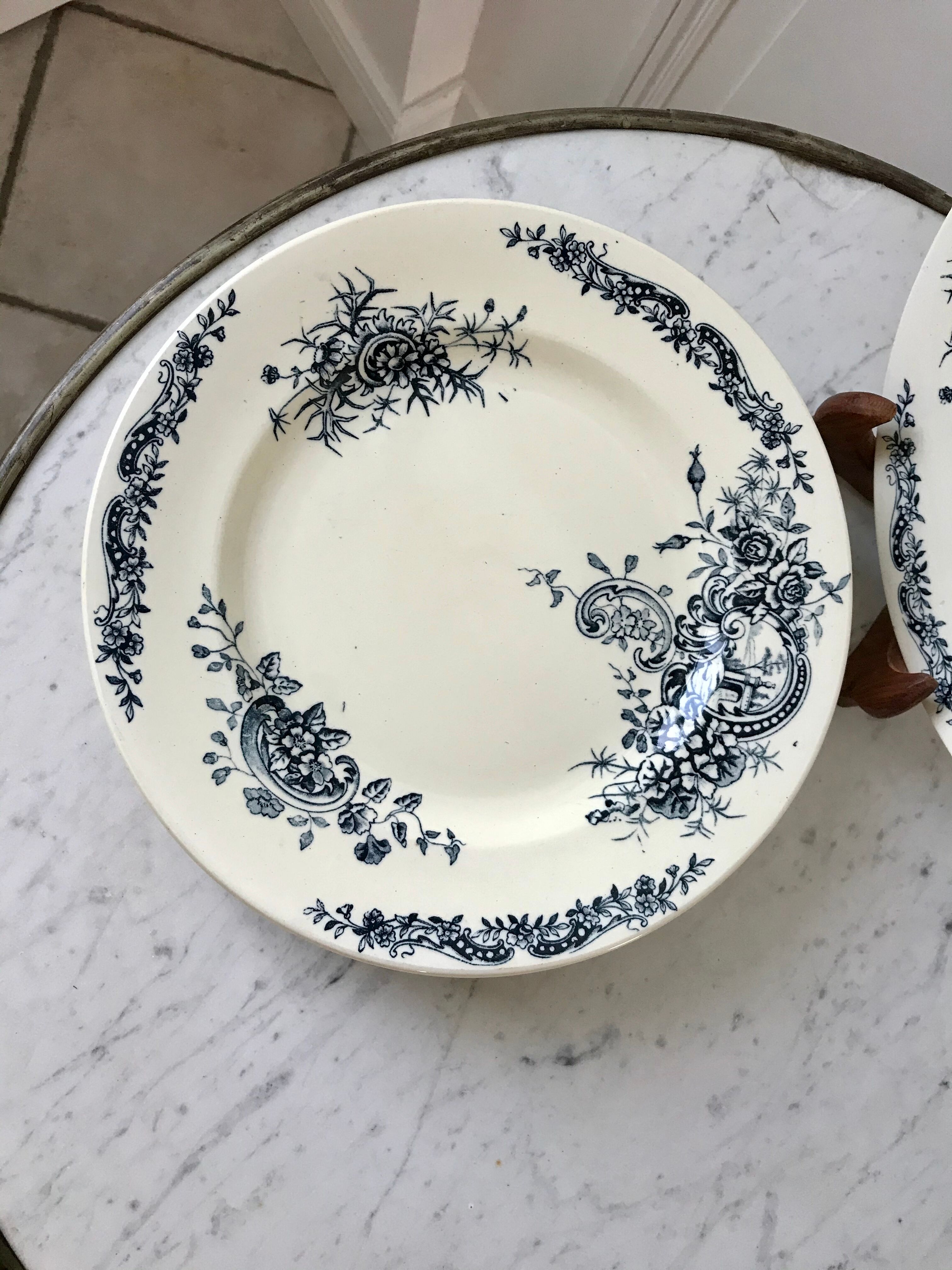 Set of 8 flat plates Terre de Fer Salins model "Rocailles" late nineteenth