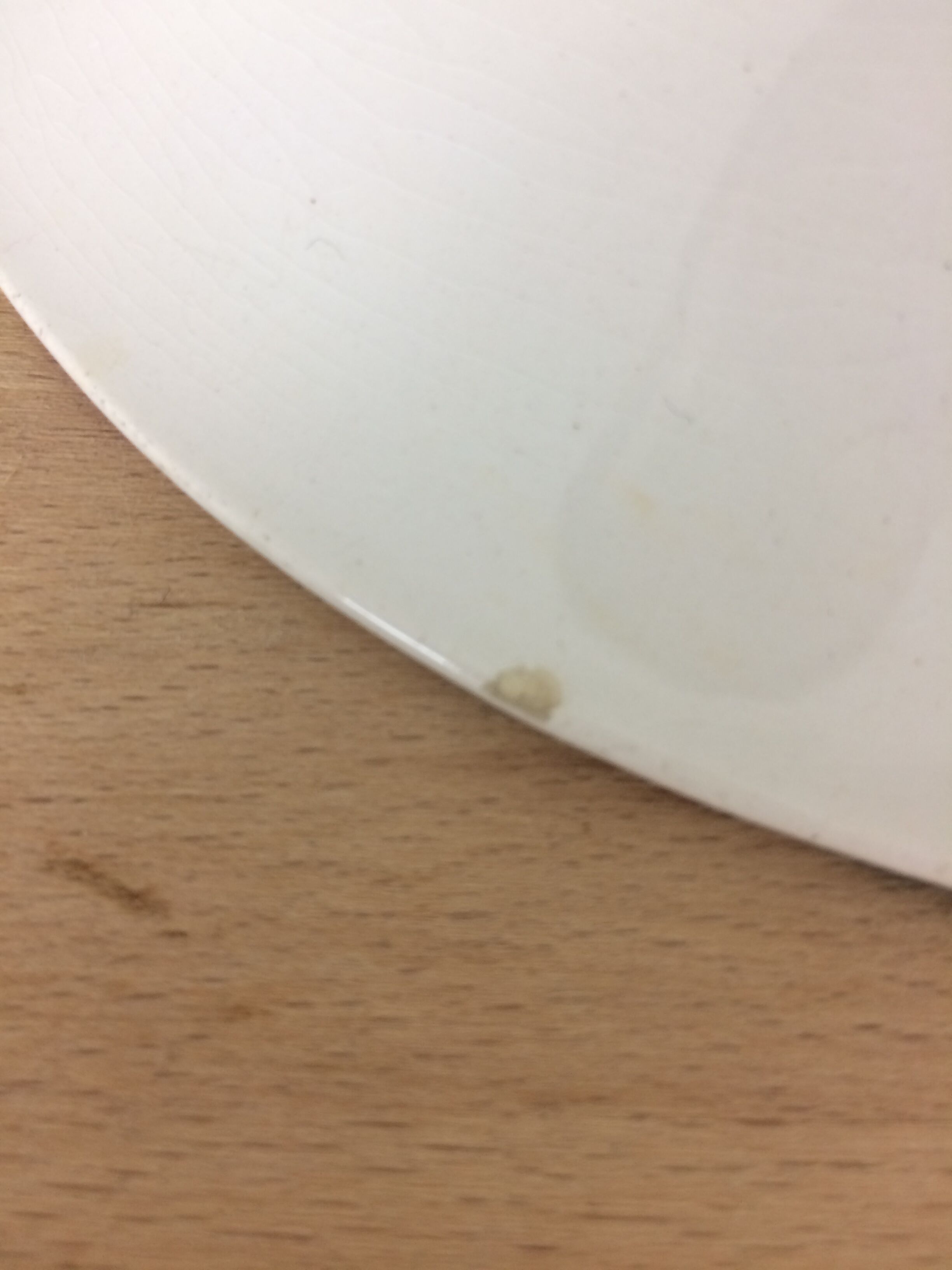 Multi-coloured Longchamp ceramic dish