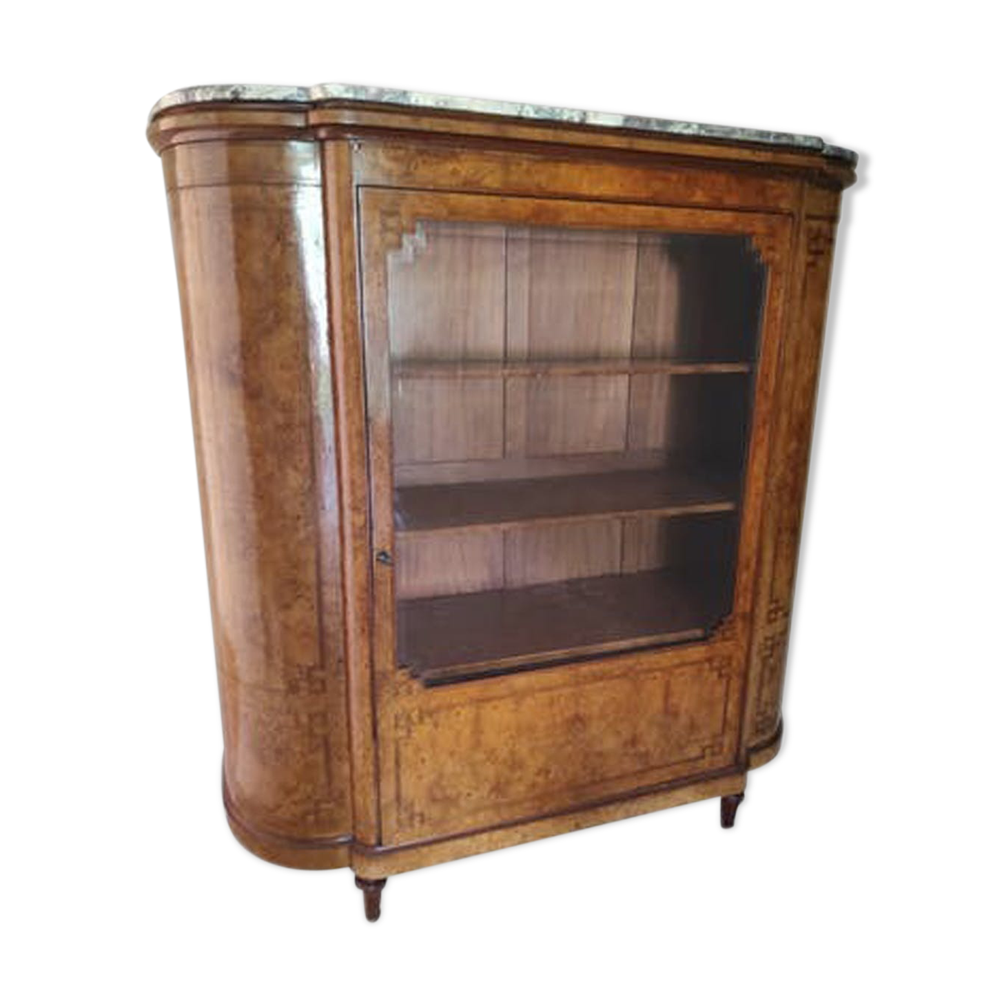 Elm magnifying glass showcase