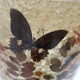 Vintage Accolay lamp in resin and ceramics