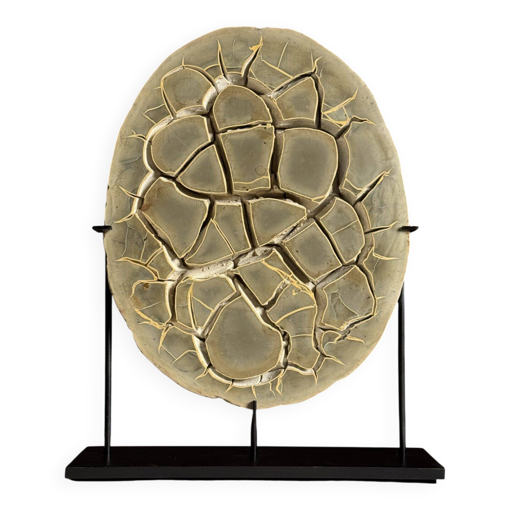 Septarian nodule on stand