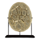 Septarian nodule on stand