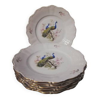 Assiettes Plates Paons