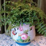 Napoleon iii planter