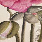 Fine art print 21x30 "The anemone" limited edition