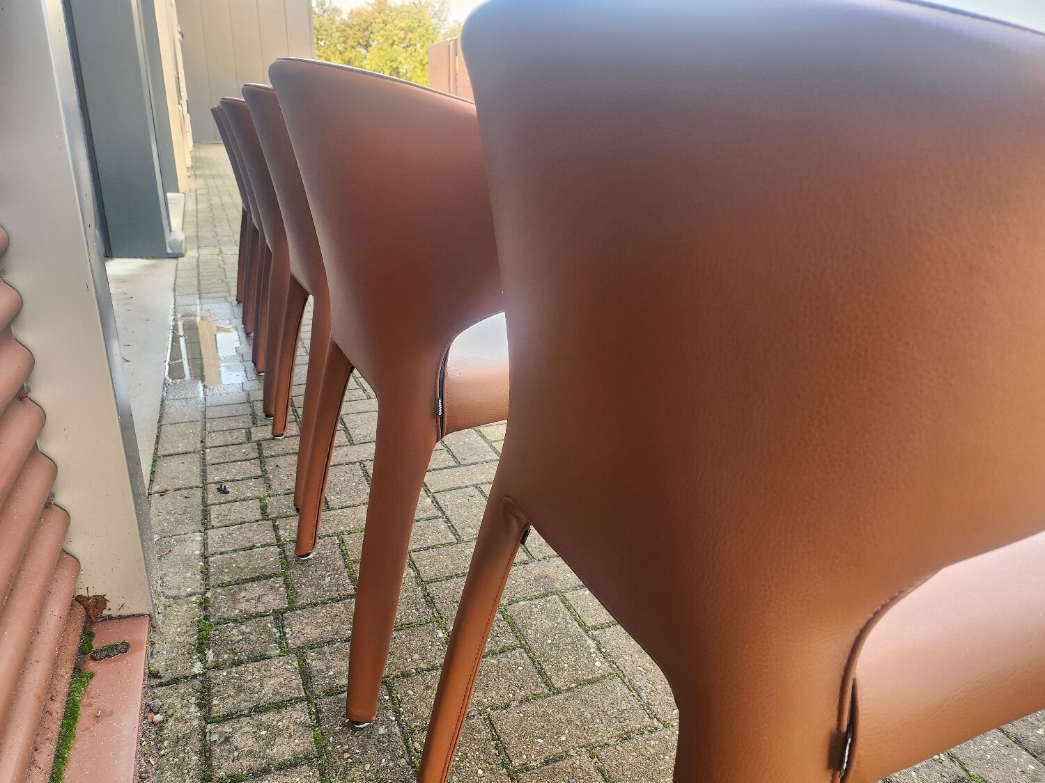 Cassina Hola 367 - set of 6 dining chairs by Hannes Wettstein