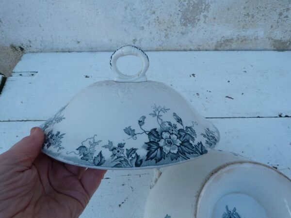 Soupière ancienne Moulin des Loups Hamge France motifs Acacias