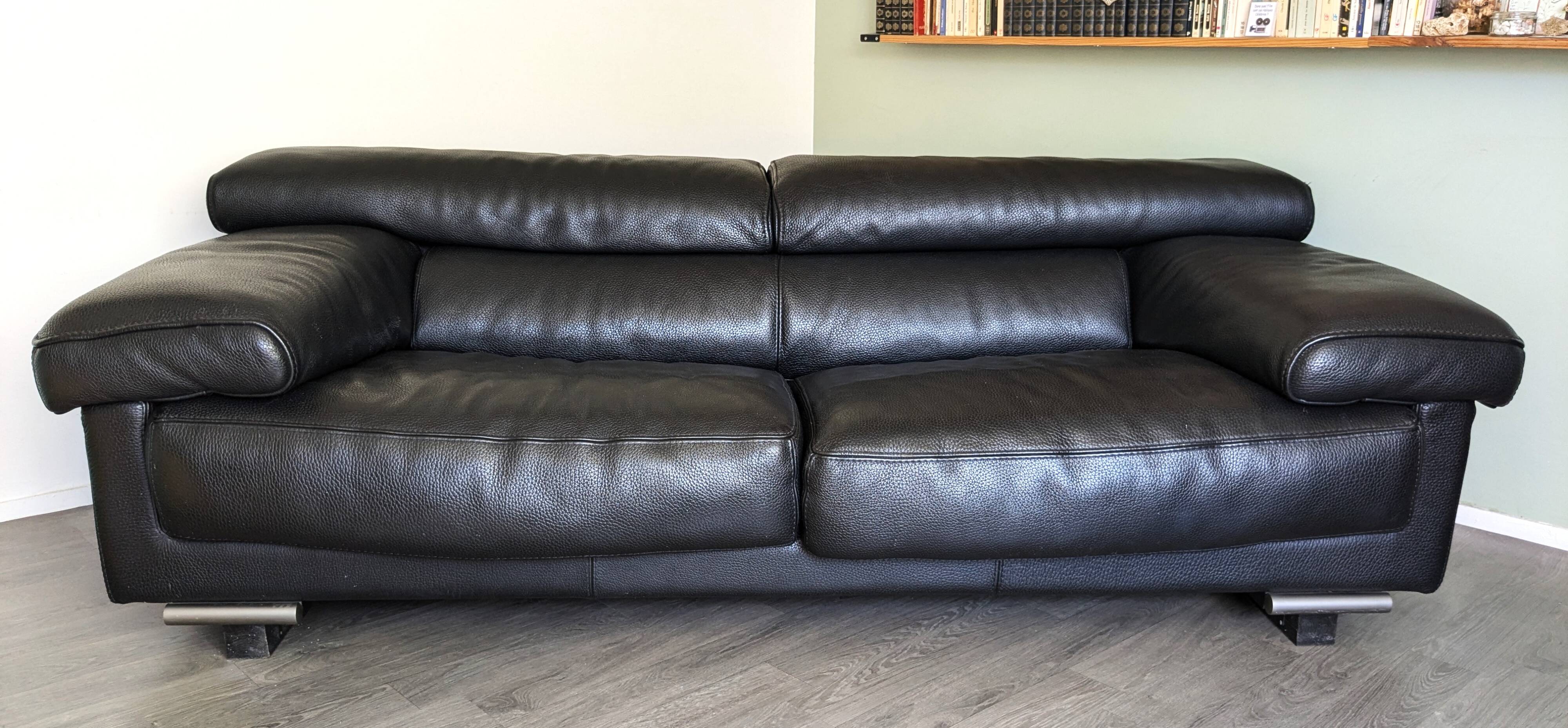 Roche Bobois sofa