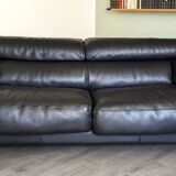 Roche Bobois sofa