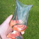 Vintage 60/70s glass vase in pink tinted glass