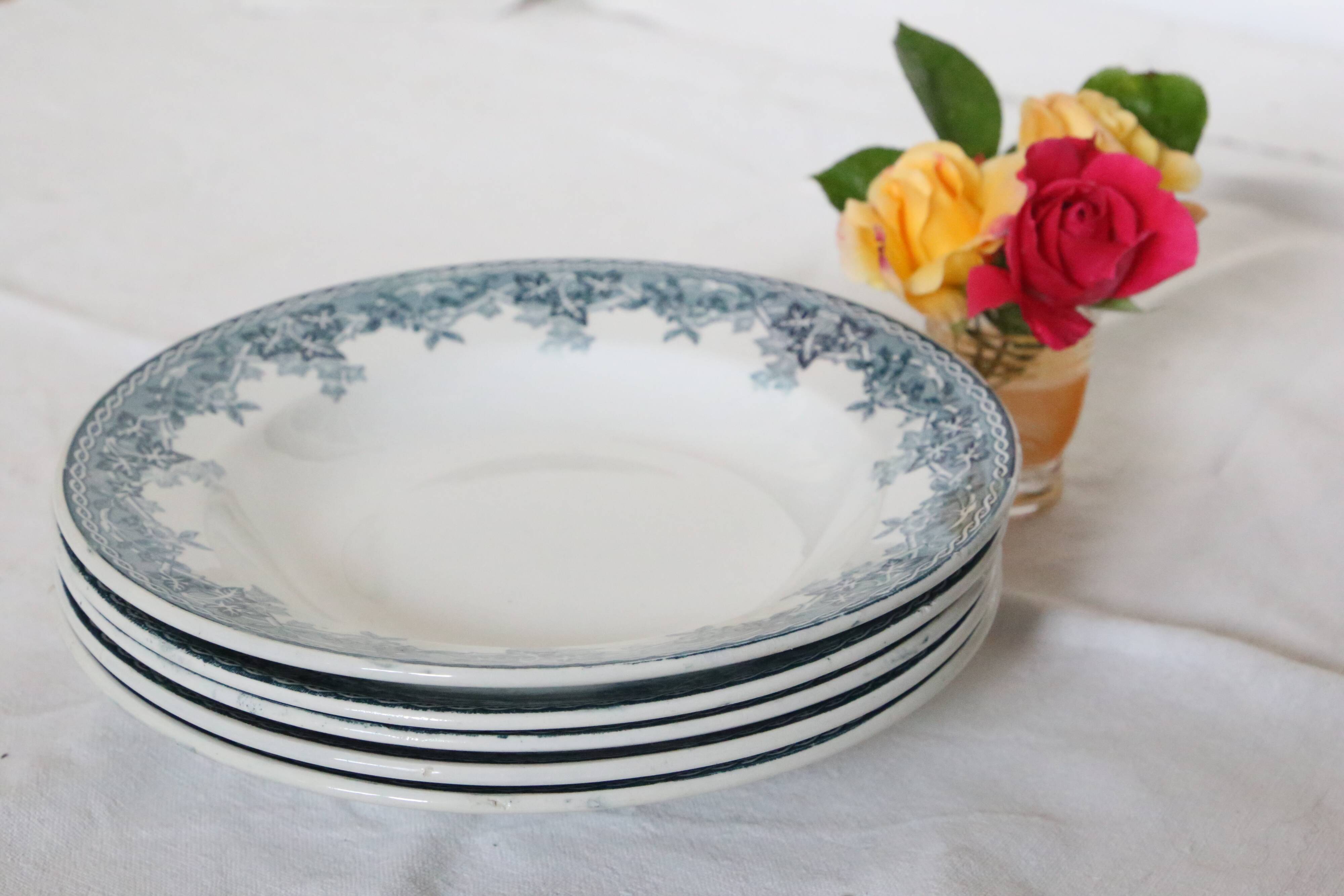 Deep plates x5, iron earth, Estival model from Saint Amand