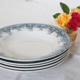 Deep plates x5, iron earth, Estival model from Saint Amand