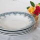 Deep plates x5, iron earth, Estival model from Saint Amand