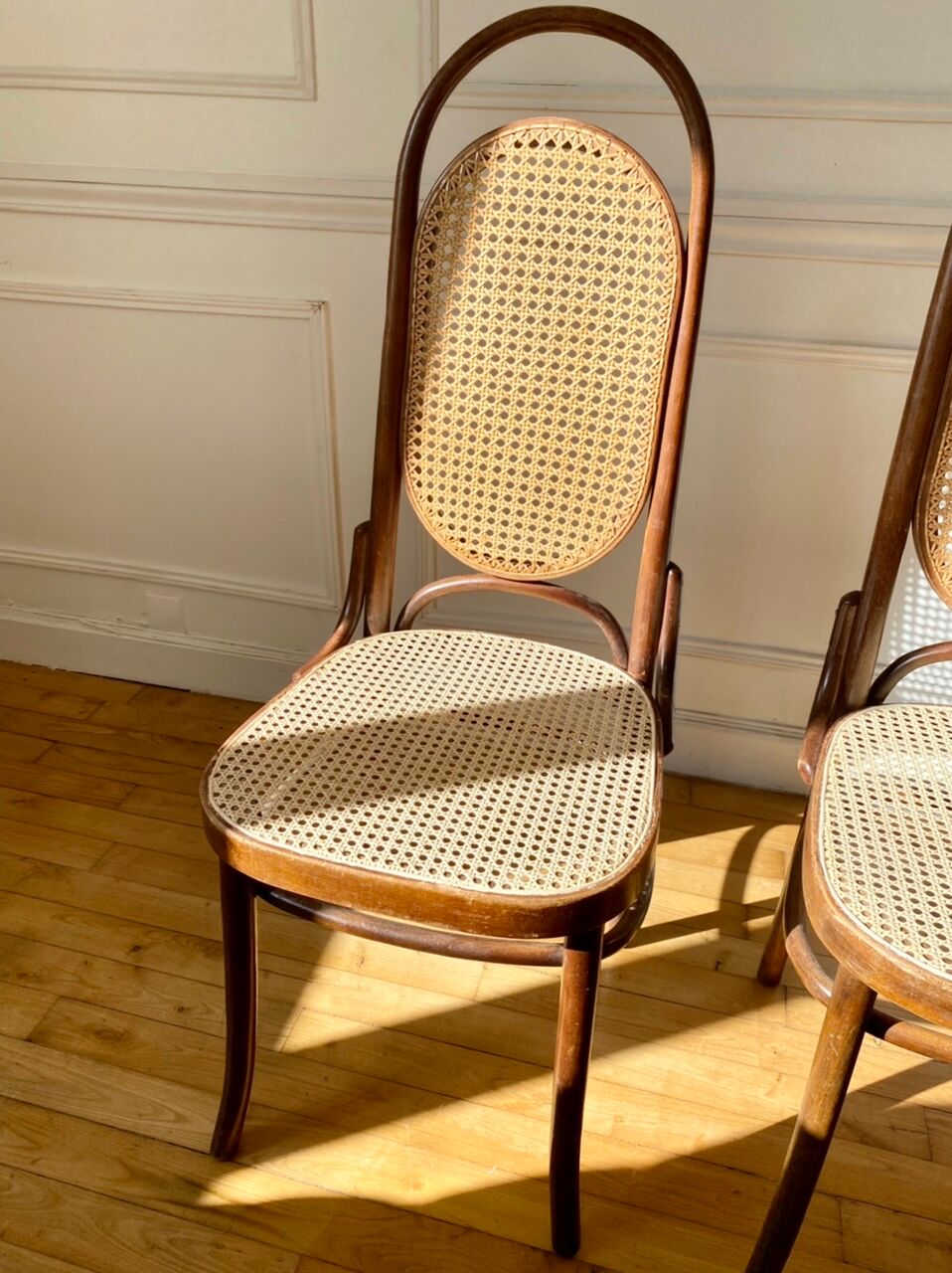 Pair of chairs Thonet 17 reissue FMG