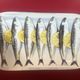 Set of 2 dishes decorated with fish, mackerel or sardines Geneviève Lethu