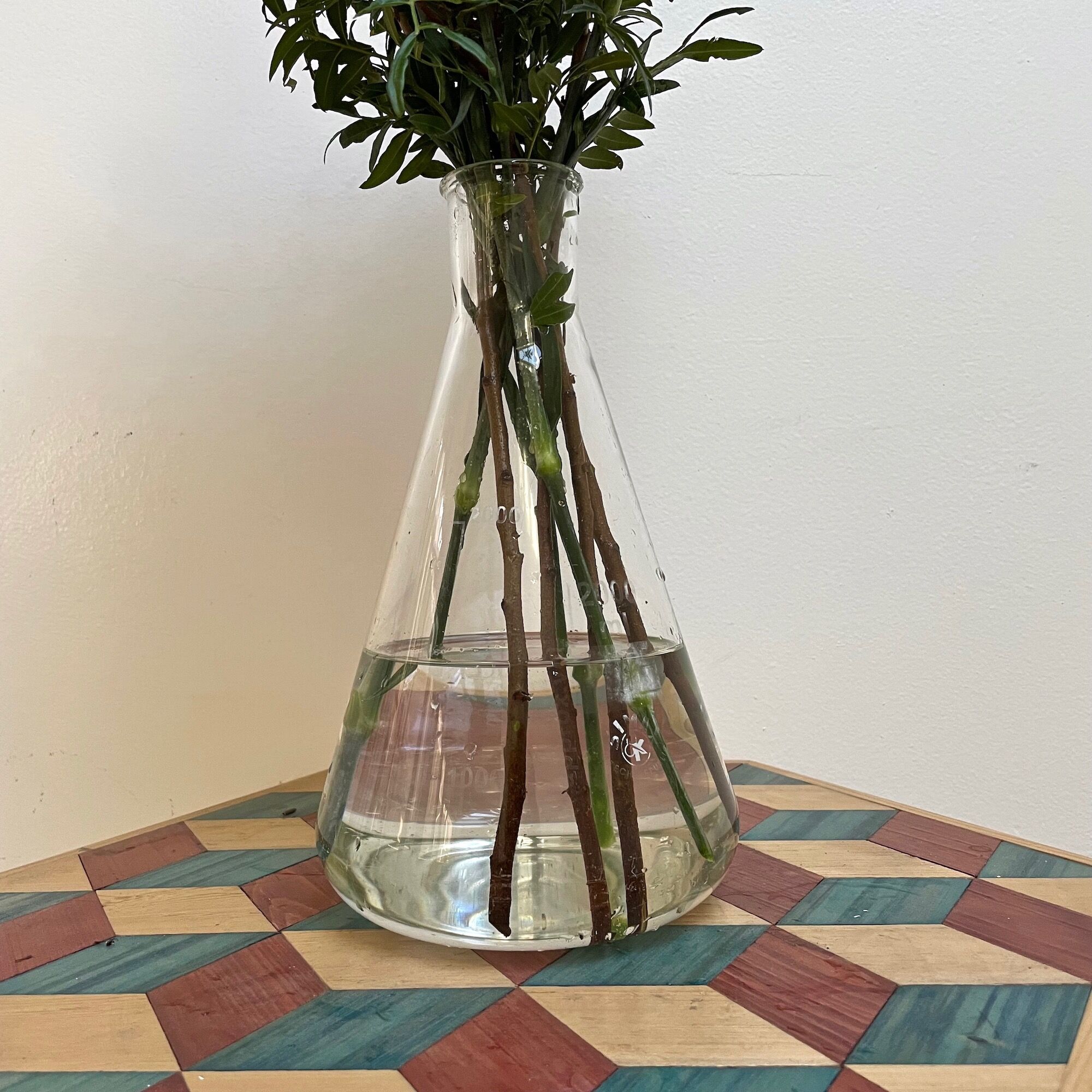 Chemistry carafe 2000ml simax