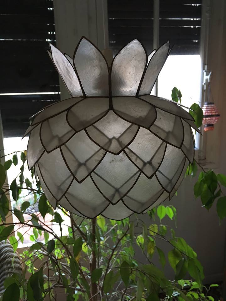 Suspension mother-of-Pearl capiz and brass to plant form