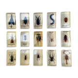Set of 15 insects