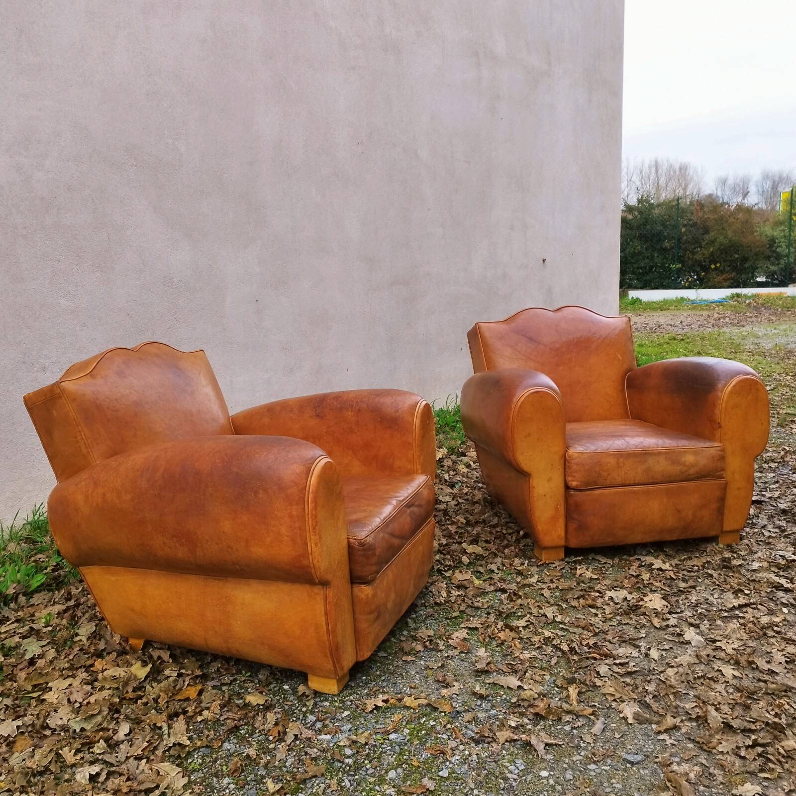 Paire de fauteuils club Moustache vintage cuir fauve