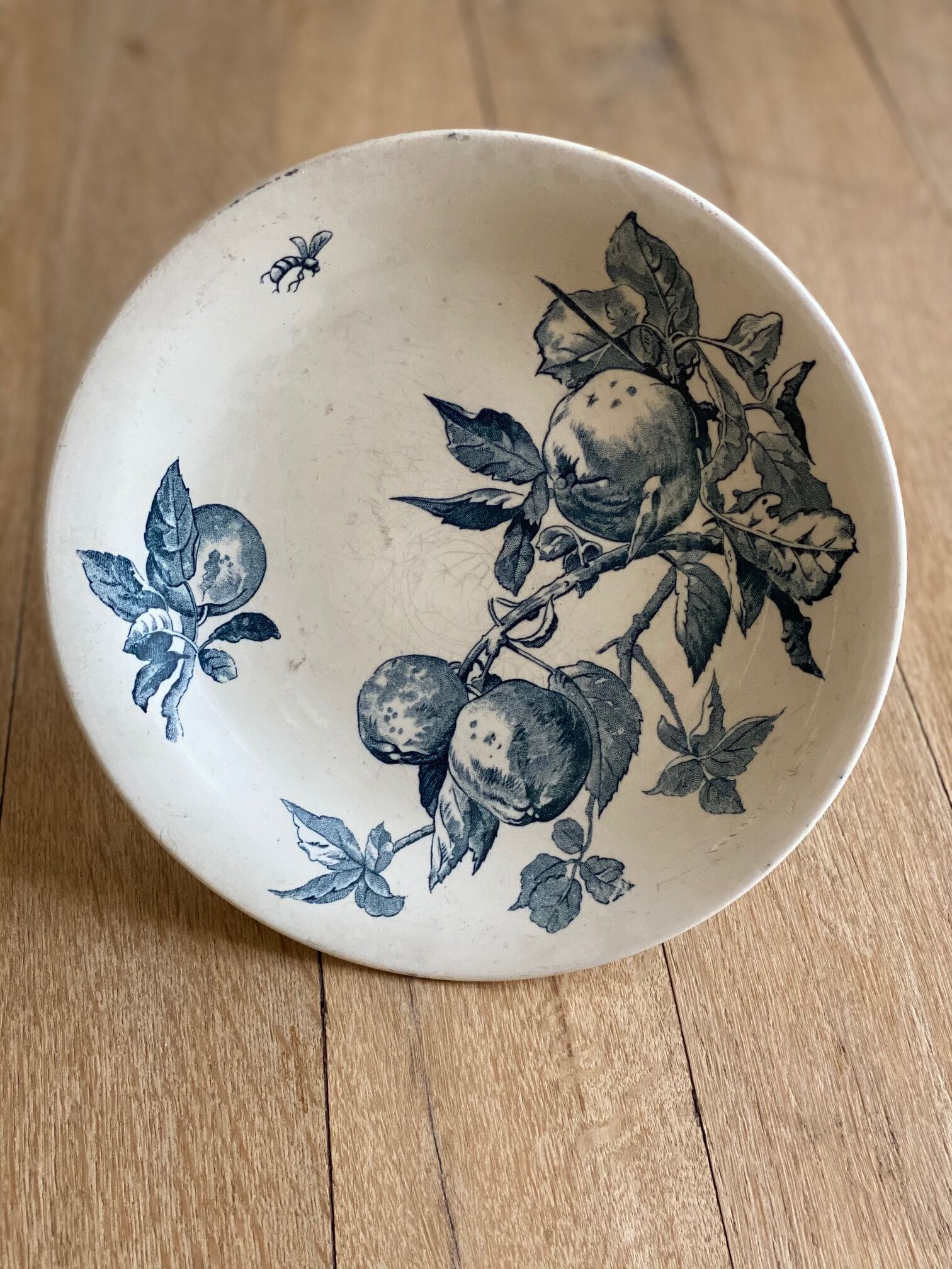 Compotier Terre de fer