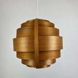 Scandinavian Suspension by Hans Agne Jakobson, pin 1960
