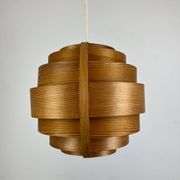 Scandinavian Suspension by Hans Agne Jakobson, pin 1960