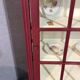 Vitrine parisienne