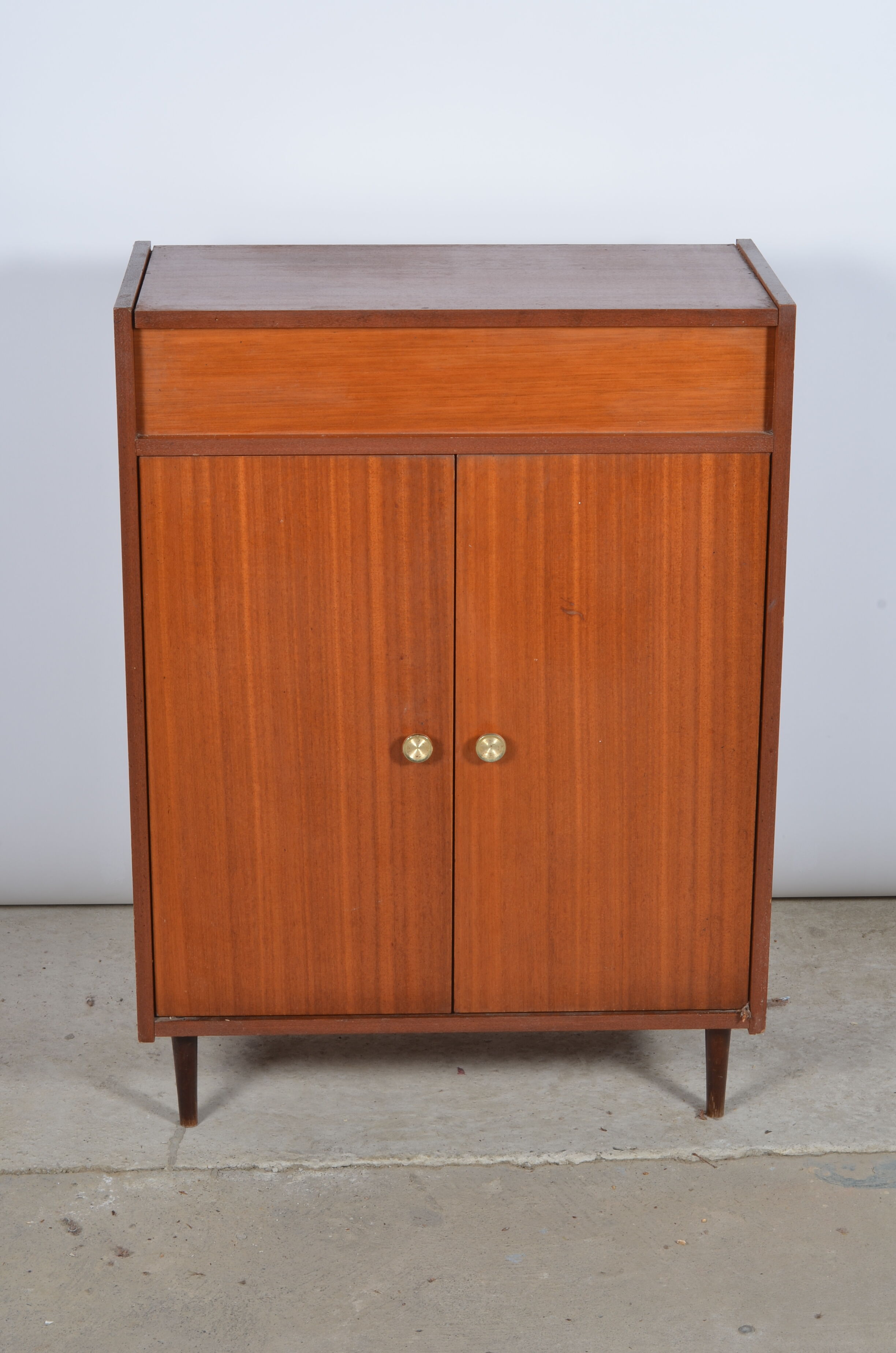 Shoe cabinet 2 doors and a chest